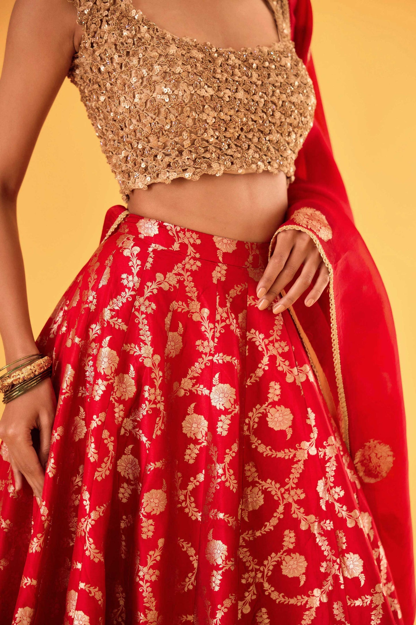 Durgavati Banarasi Lehenga (Surkh)
