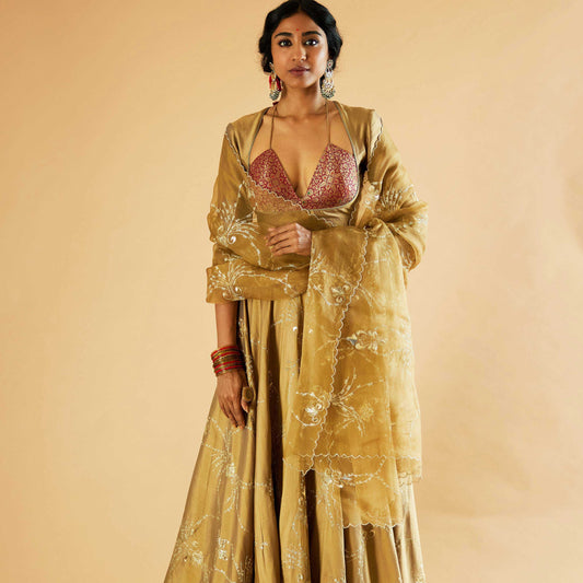 Gayatri Devi Lehenga (Tamba)
