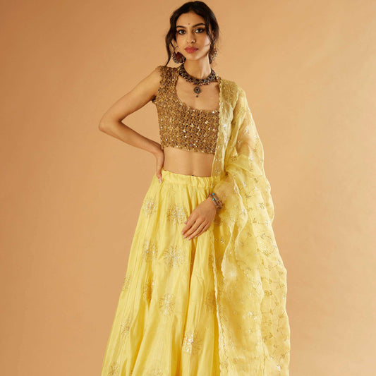 Mohini Sitara Lehenga (Matiya)