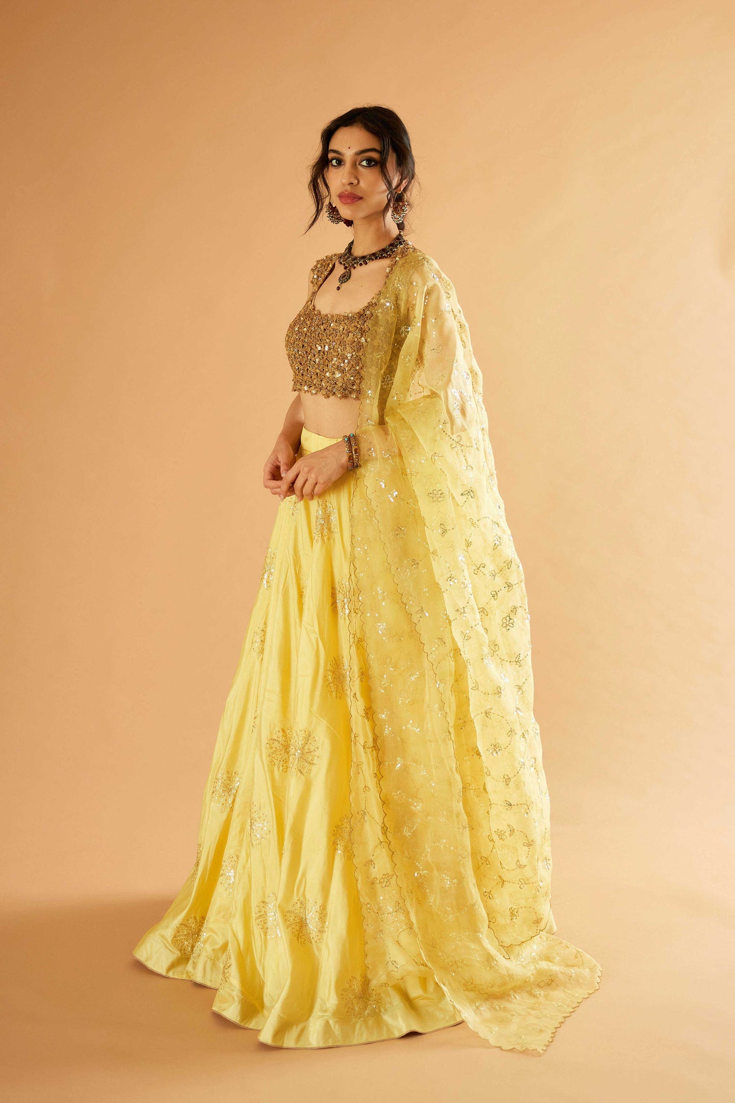 Mohini Sitara Lehenga (Matiya)